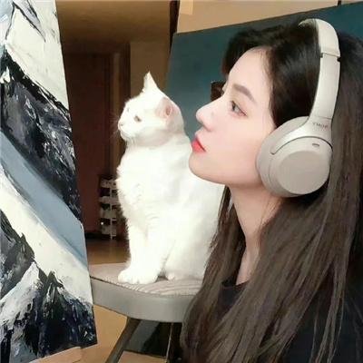 明星间谍